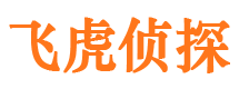 三江市侦探调查公司